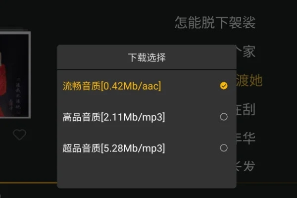 下载MP3格式教程截图5