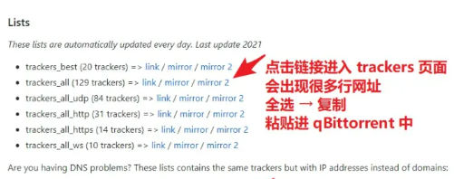 QBittorrent电脑版高级设置2