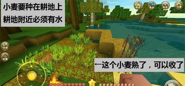 新手攻略6