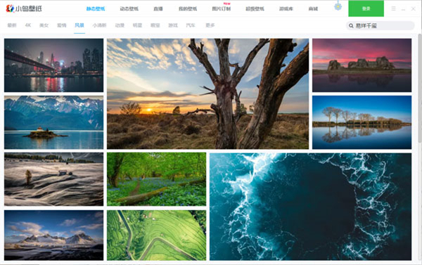 小鸟壁纸纯净版软件介绍截图