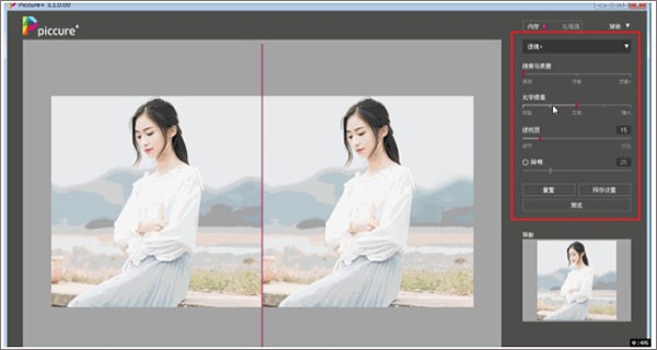 piccure plus如何使用?3