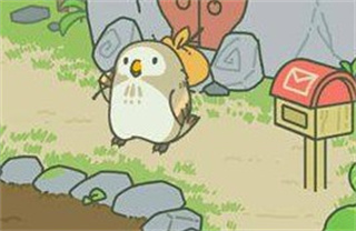 猫头鹰胖胖截图