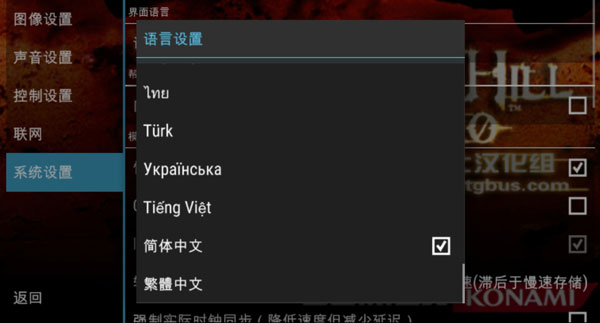 设置中文截图3