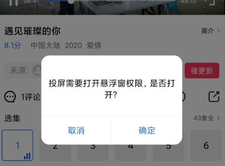 视频投屏截图3