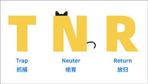 TNR是什么?1