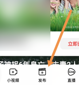 发布作品截图2