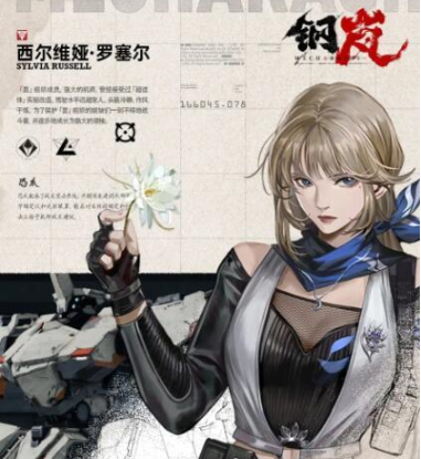 钢岚新手十连选谁2