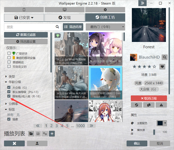 Wallpaper Engine最新pc版本开启分级壁纸教程3