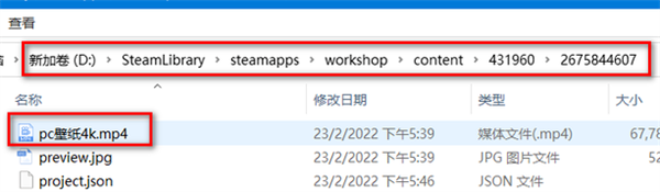 Wallpaper Engine最新pc版本保存壁纸教程5