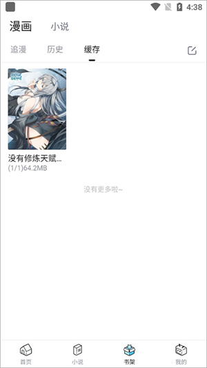 缓存漫画教程5