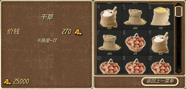 游戏攻略截图5