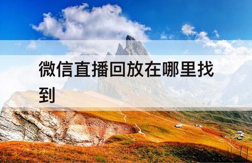 看回播