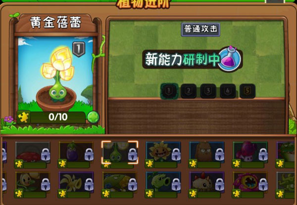 新植物介绍1