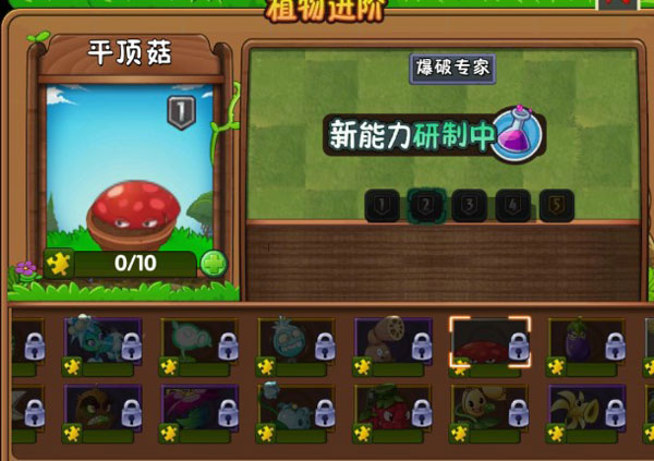 新植物介绍2