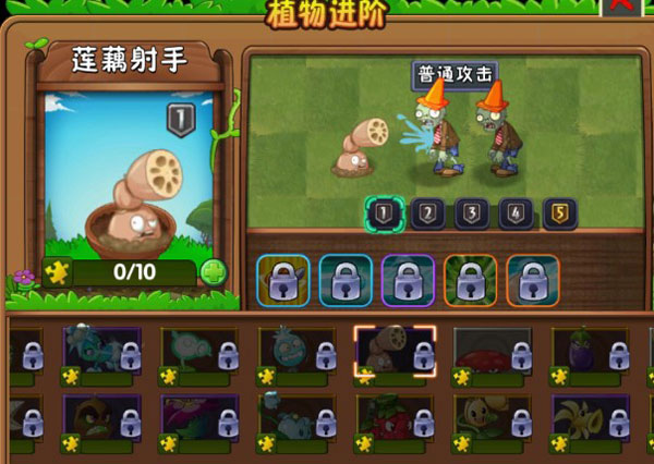 新植物介绍3
