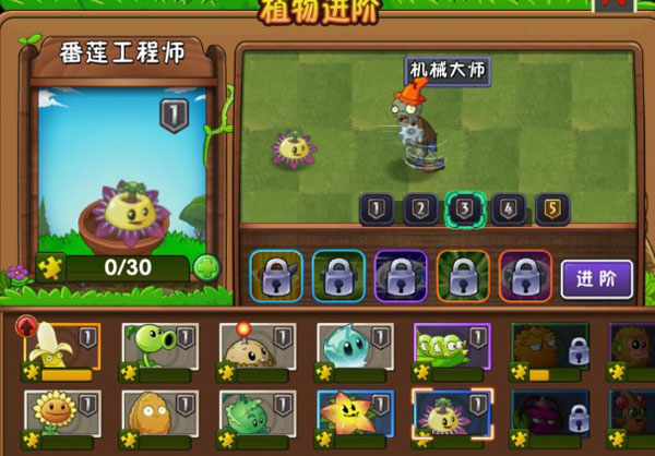 新植物介绍4