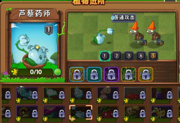 新植物介绍5