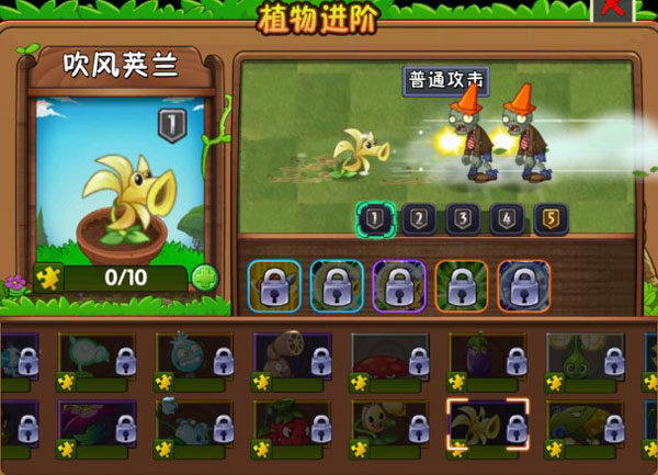 新植物介绍6