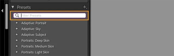 Lightroom2024破解版软件特色6