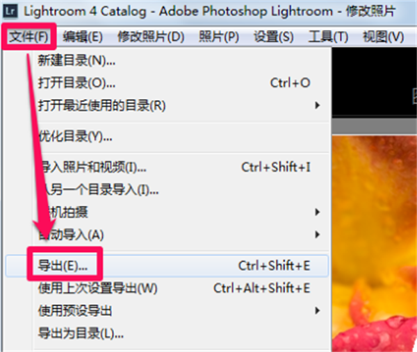 LightRoom官方正版保存照片教程1