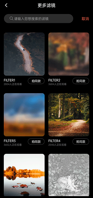 怎么调滤镜截图2