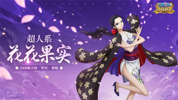 罗宾攻略
