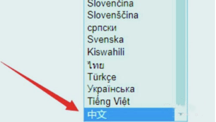 调成中文截图3