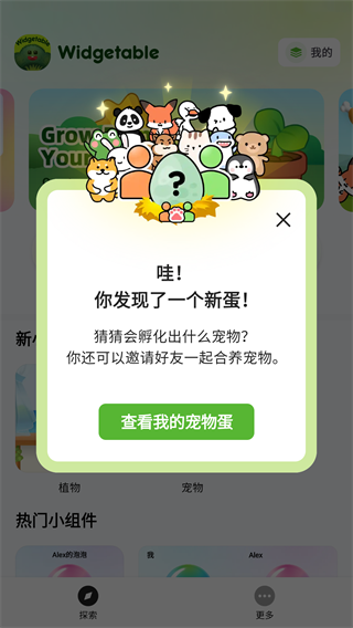 怎么设置中文1