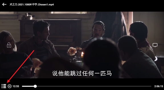 设置播放速度3