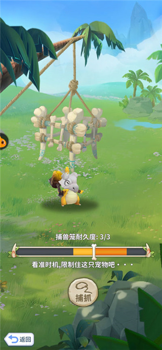 宠物攻略截图3