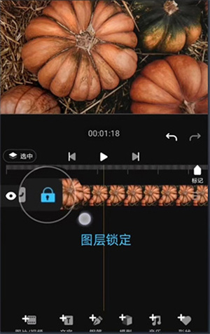 功能介绍截图2