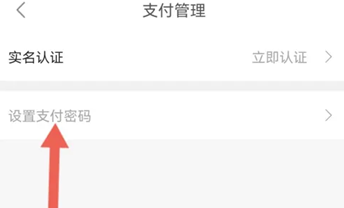 如何设置支付密码截图3