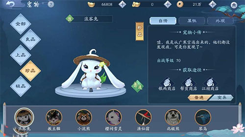 宠物怎么获得?1