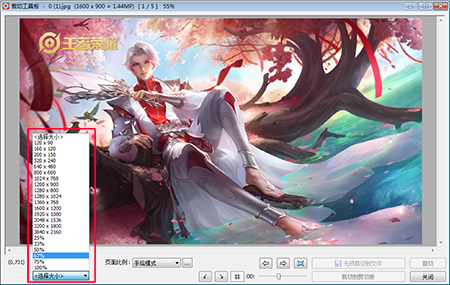 Faststone Image Viewer企业版使用教程截图2