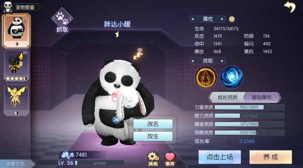 武林外传手游宠物系统2