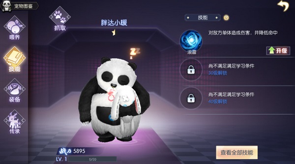 武林外传手游宠物系统3