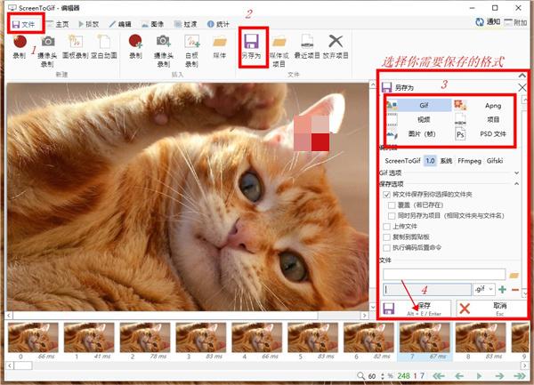 ScreenToGIF最新版如何对录制内容进行编辑