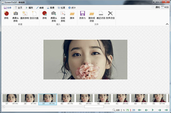 ScreenToGIF最新版 第1张图片