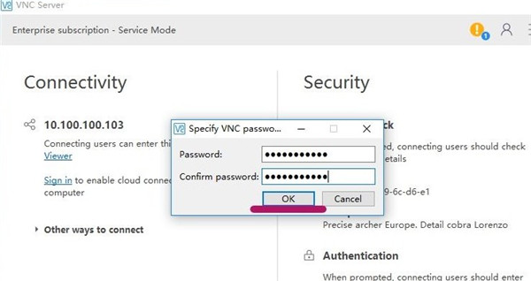 RealVNC Viewer绿色版使用教程截图7