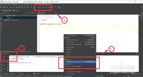 Pycharm 2024.1破解版使用教程6