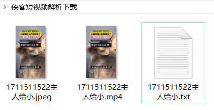 侠客短视频解析绿色版点评4