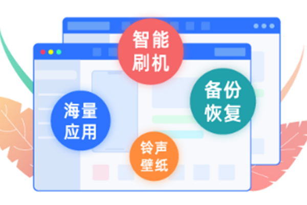 爱思助手电脑版官方版截图3