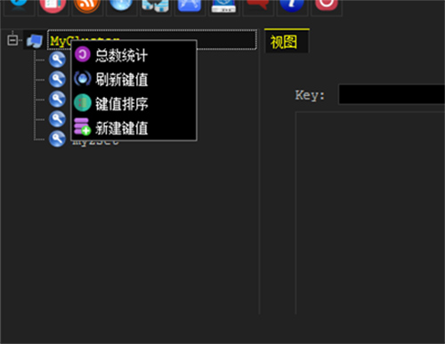 RedisView破解版使用方法截图3