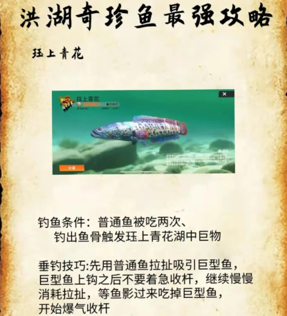 洪湖最后三条鱼截图3