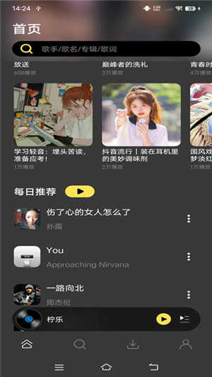 柠乐音乐电脑版截图3