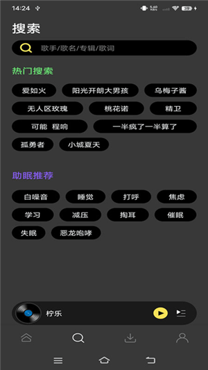 柠乐音乐电脑版截图1