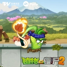 植物介绍1