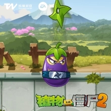 植物介绍2