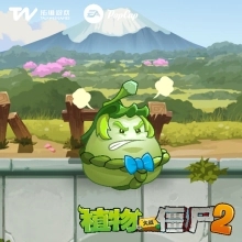 植物介绍3
