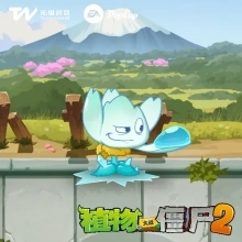 植物介绍4